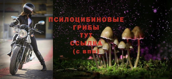 мдпв Снежинск