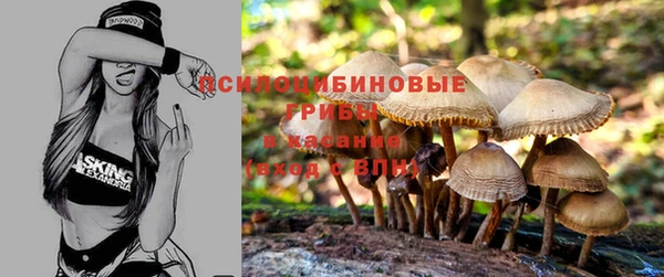 прущая мука Алзамай